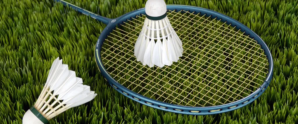 Influence Across Communities